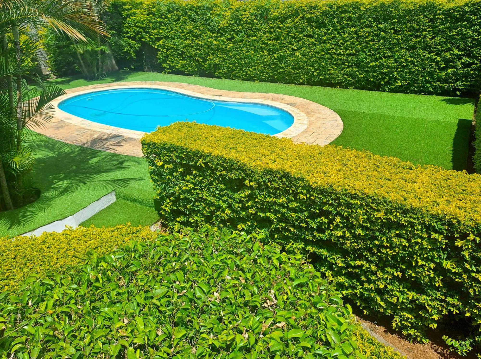 Appartement Paisible Avec Jardin & Piscine Albion Buitenkant foto